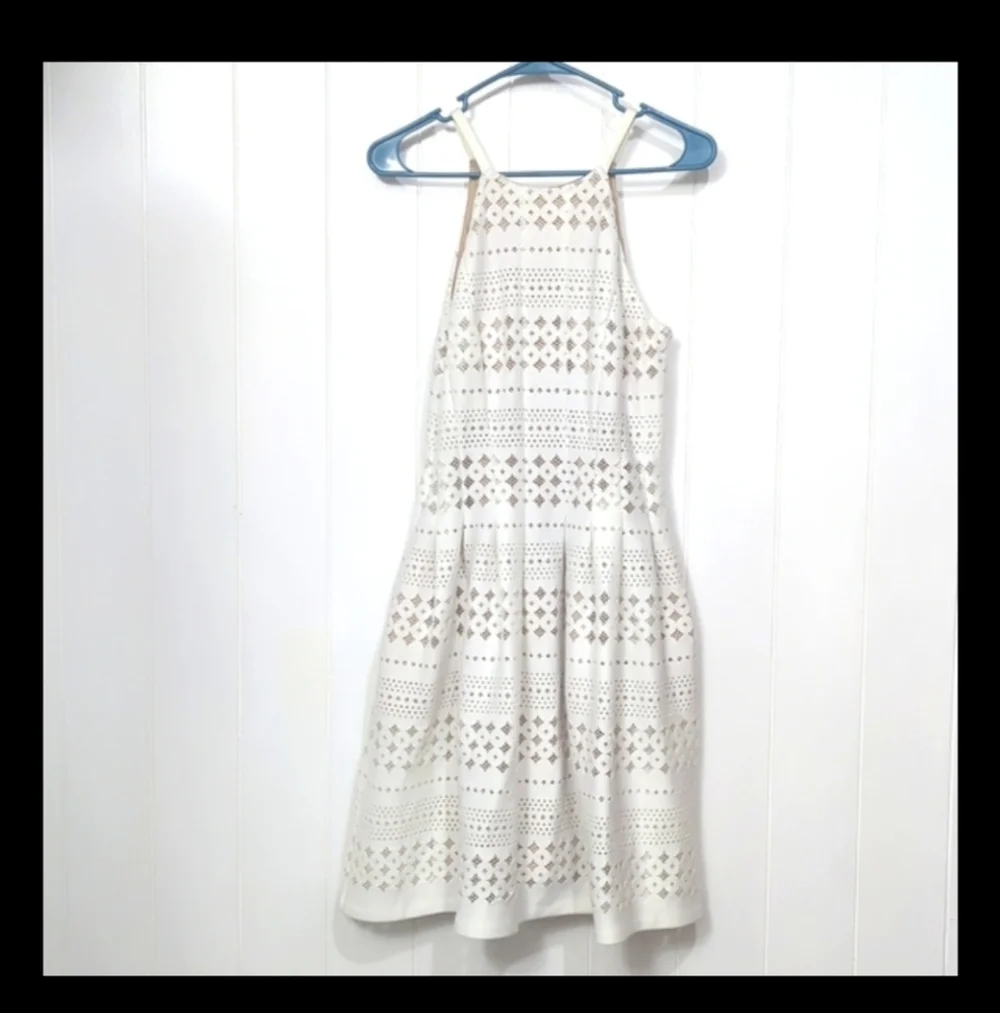 Like New Beautiful Eliza J Lace Stunning Dress